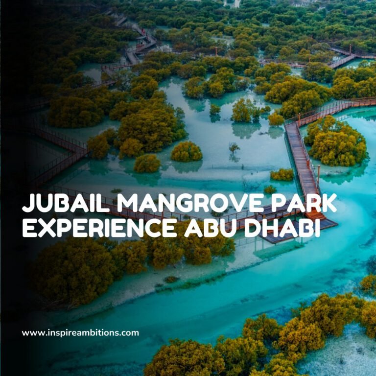 アブダビのマングローブ公園 – 野生動物と観光客のための自然の安息所