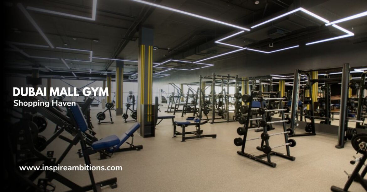 a gym with many exercise equipment