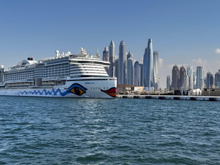 a cruise ship in the water