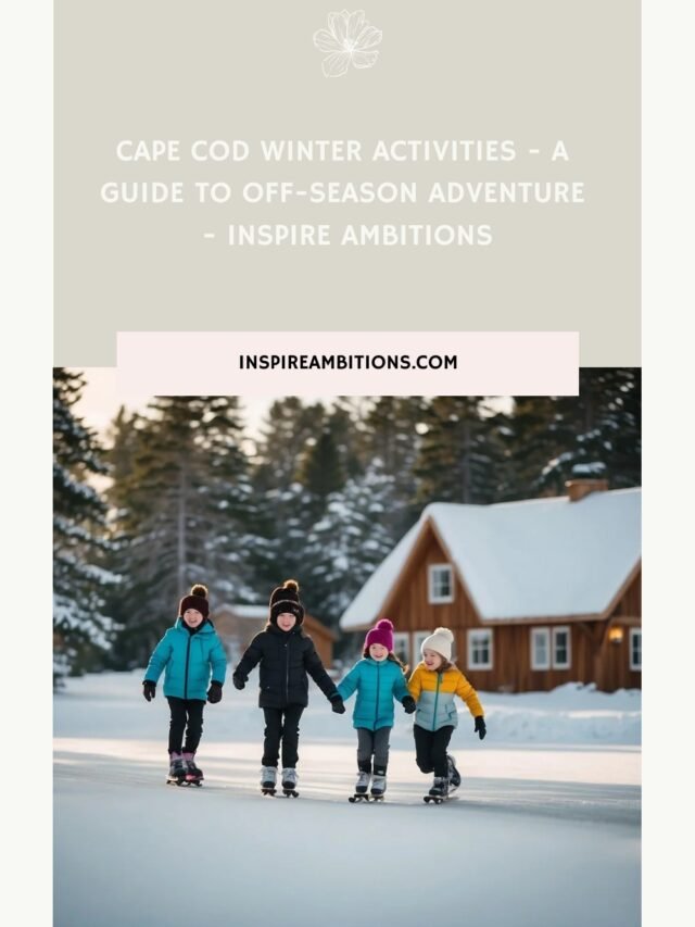 Cape Cod Winter Activities – A Guide To Off-Season Adventure