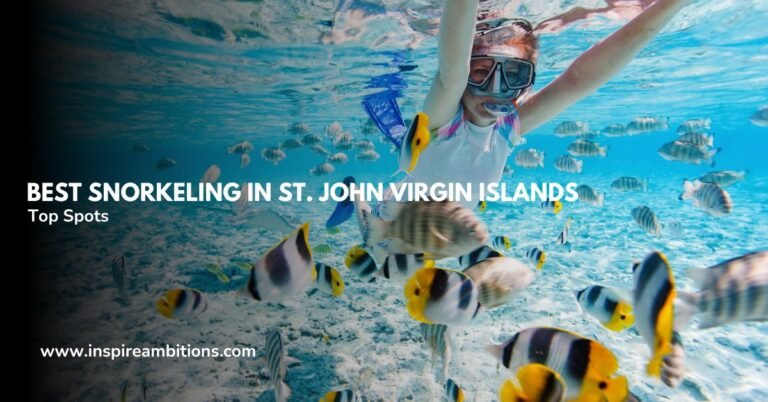 أفضل الغطس في سانت جون جزر فيرجن الأمريكية - تم الكشف عن أهم المواقع