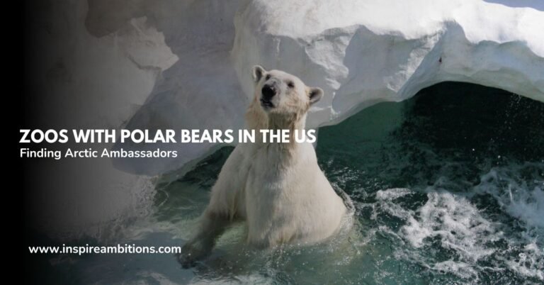 Zoológicos com ursos polares nos EUA – um guia para encontrar embaixadores no Ártico