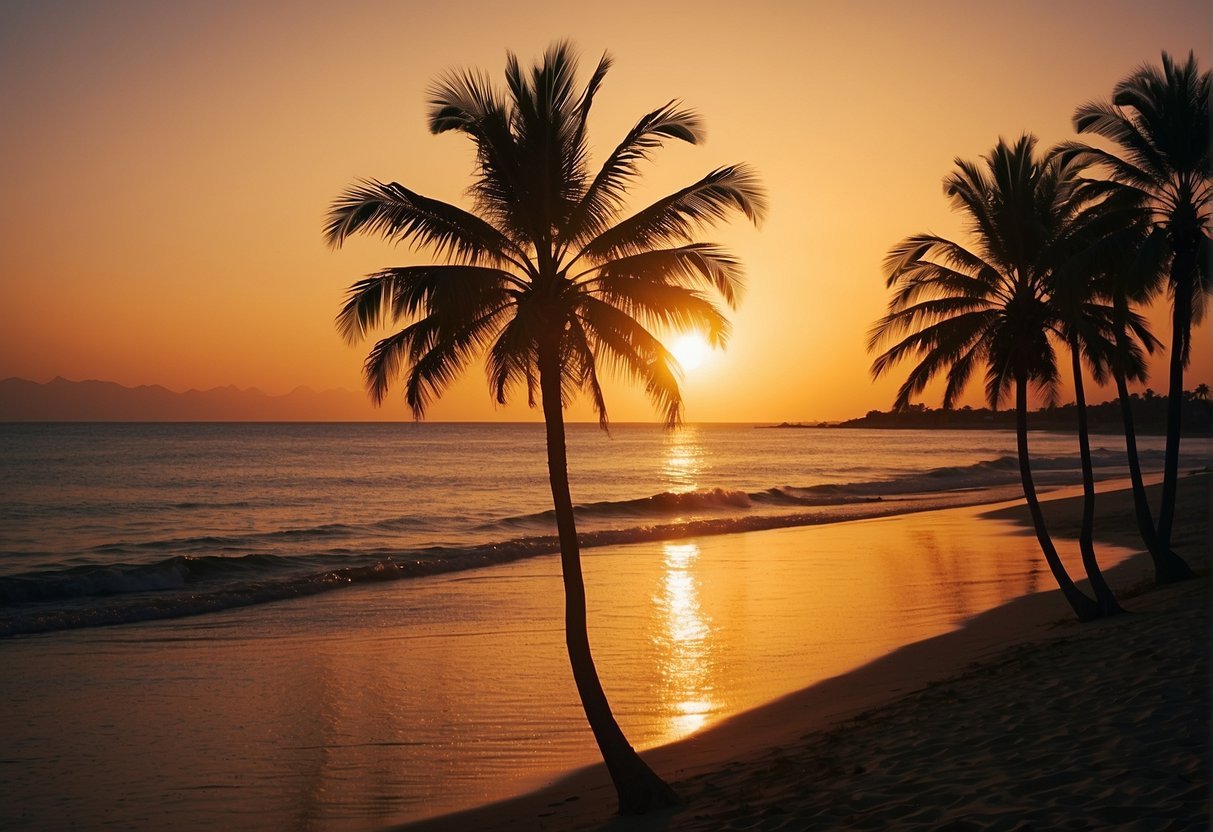 Palm trees on a beach during sunset

Description automatically generated