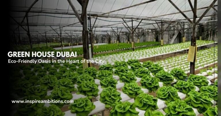 Green House Dubai – Your Eco-Friendly Oasis in the Heart of the City