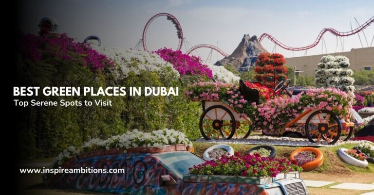 Best Green Places in Dubai – Top Serene Spots to Visit