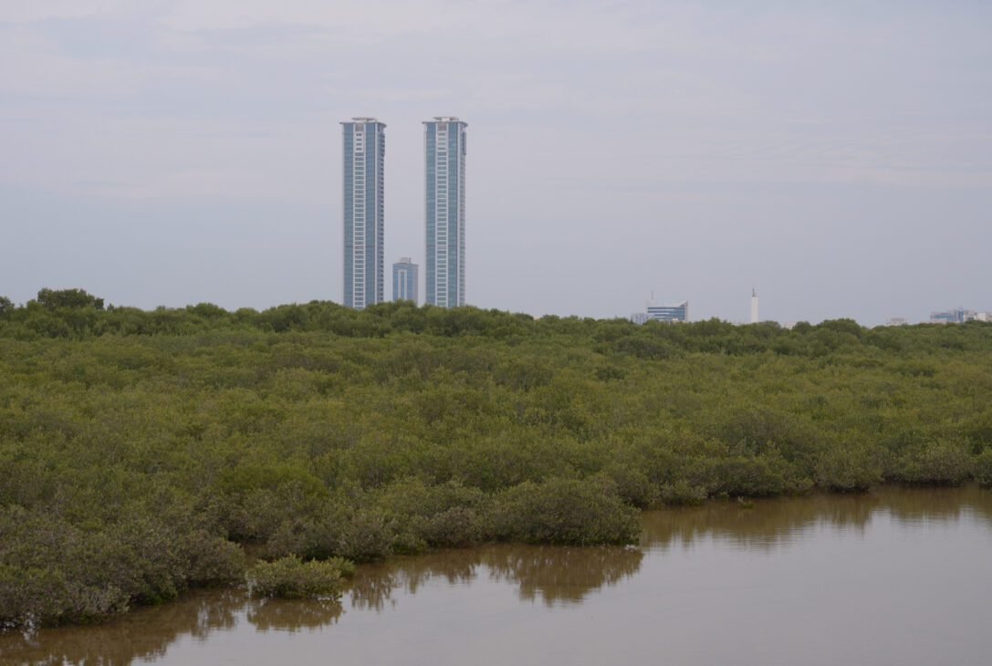 a tall buildings in the middle of a forest