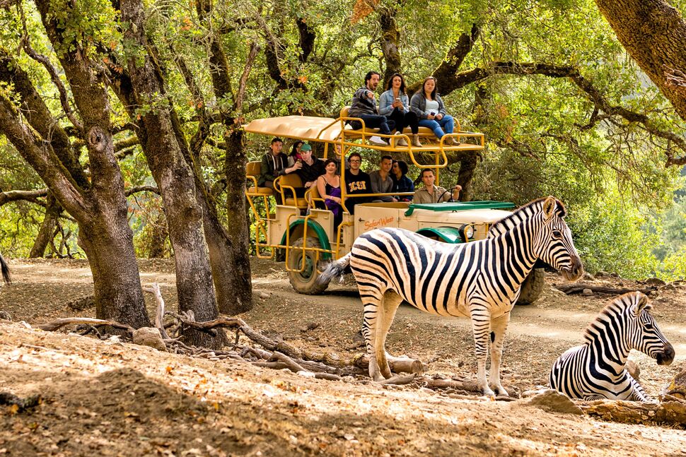 Best Zoo in the US: A Complete Guide for Animal Lovers