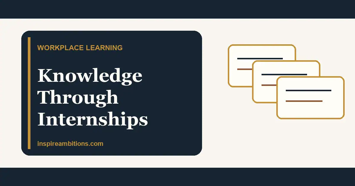 Knowledge Through Internships: How To Learn Properly
